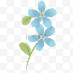 灿烂的花儿图片_蓝色的花儿