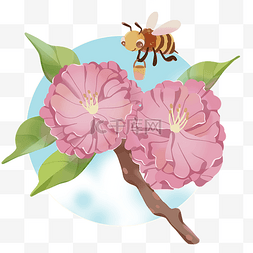 春天采蜜的蜜蜂