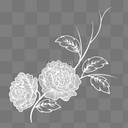 花卉植物花卉线描图片_手绘白色线描花朵元素