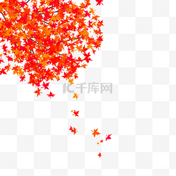 黄昏下的枫树图片_秋天枫树背景设计