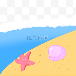 小海星贝壳图片_夏季沙滩大海