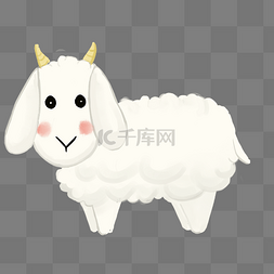 小动物白色羊