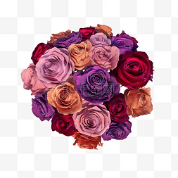 彩色玫瑰png图