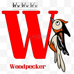 字母w与啄木鸟