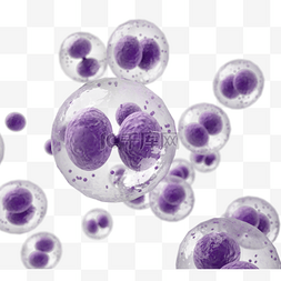 细胞细胞膜图片_紫色细胞分裂3d元素