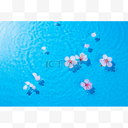 水粉红色图片_水波纹中漂浮的花瓣