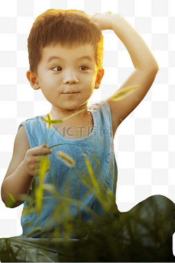 草地里的小男孩