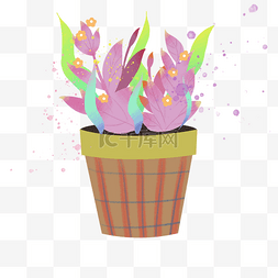 紫色植物盆栽插画