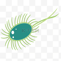 绿色胡须细菌插画