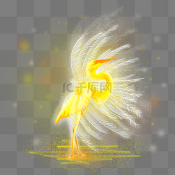 黄色的羽毛图片_梦幻黄色白色的鸟