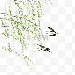 手绘柳树燕子图片_柳树与飞燕