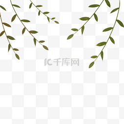 叶子图片_绿色植物叶子