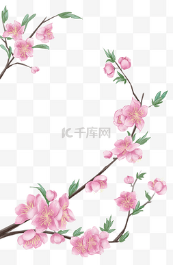 桃花桃花图片_桃花粉色