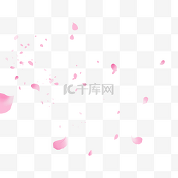 粉色桃花花瓣图片_春季花瓣