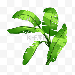 芭蕉树绿色植物装饰图案