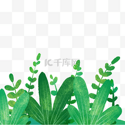 清新夏日绿色植物png免抠图