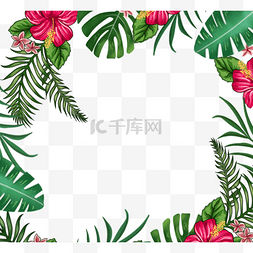 手绘花绿色边框图片_手绘热带树叶边框
