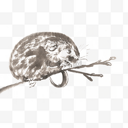 老鼠水墨画图片_树枝上的老鼠水墨画PNG免抠素材