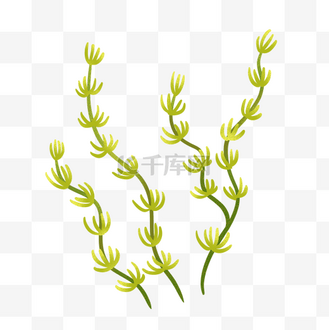 真实水草图片_真实水草素材-真实水草图片大全-千库网