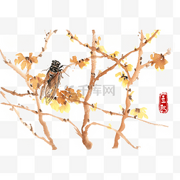 黄花水墨图片_立秋树枝与秋蝉