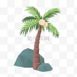 夏季海边植物椰子树