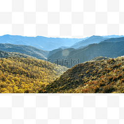 秋林格瓦斯图片_内蒙古山峦植物秋色