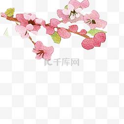 红色的花朵免抠图