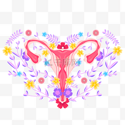 手绘身体器官图片_手绘卡通花卉女性生殖器官插画