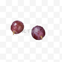 粒葡萄图片_两颗美味的葡萄粒