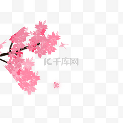 天猫艺术线条图片_粉色花朵