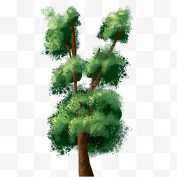 分叉的绿色大树