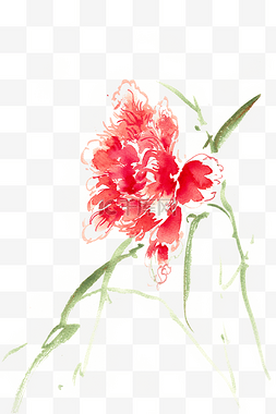 红艳的花朵水彩画