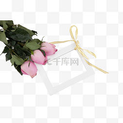 粉色花卉相框图片_情人节玫瑰花相框
