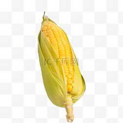 玉米粒图片_农产品室内玉米