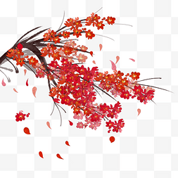 中国古典红梅枝