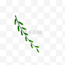 绿色和平图片_绿色和平橄榄枝