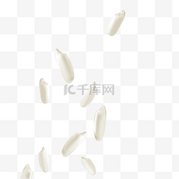 白色大米米粒