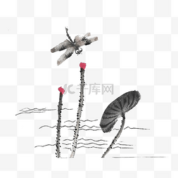水墨水墨蜻蜓图片_水墨蜻蜓和荷叶