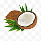 热带水果椰子