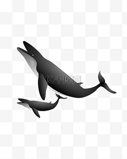海底可爱图片_卡通灰色海豚插画