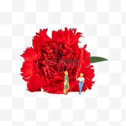 红色康乃馨花朵图片_微距红色康乃馨和小人