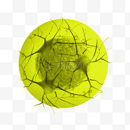 病菌图片_绿色圆形病毒