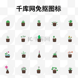 吊兰盆栽图片_植物盆栽图标