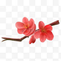 红花红色水墨画元素梅