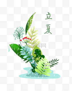 24节气植物图片_立夏节气夏日夏雨植物茂盛PNG生长