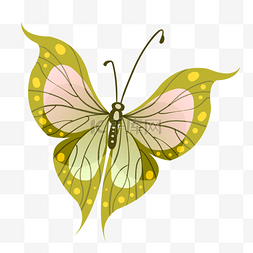 精美的蝴蝶翅膀插画