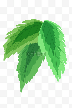 自然装饰图案图片_绿色扁平风植物叶子PNG图片
