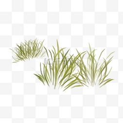 小绿草图片_一堆小草