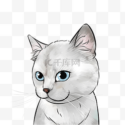 卡通猫咪睡觉图片_手绘卡通小猫咪