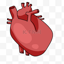 插画心脏图片_人体器官心脏插画